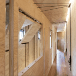 Pine Plywood