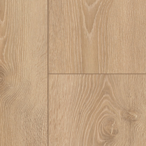 510f1193-b76d-4d9a-90aa-dfd12ff3c15a.png Prime Seire 05 - Image 1