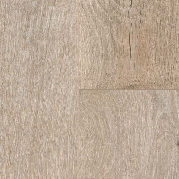 62ed6429-2d0f-41d6-b571-7cca999fb8b1.png Elite Serie 03 - Image 1