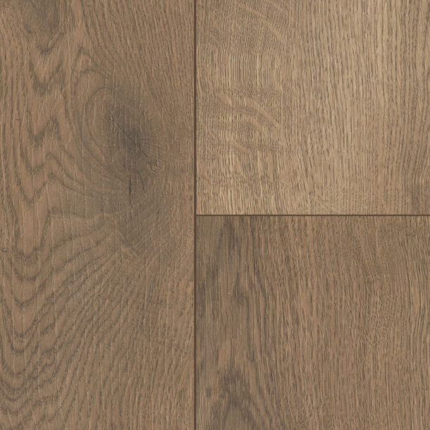 7ffa7e7c-d92e-4443-888c-00fb258fa74e.png Elite Serie 01 - Image 1