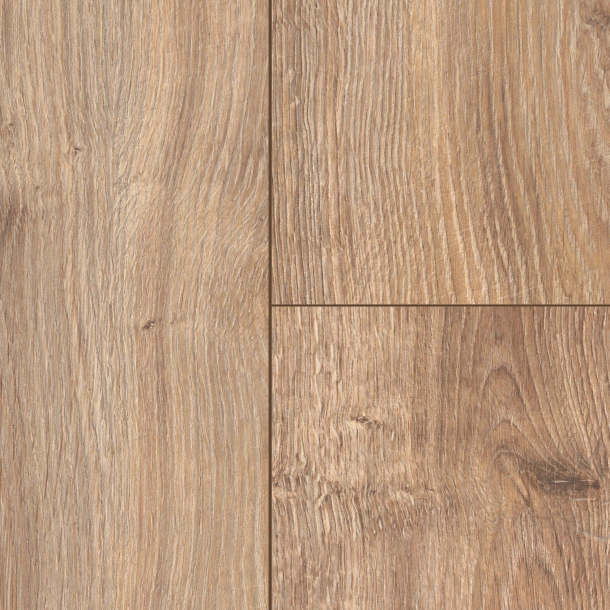 8eed6b06-1a71-4180-b58a-f5944996cf08.png Elite Serie 02 - Image 1