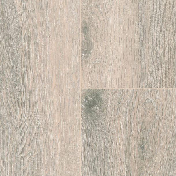 98db46c4-ee11-423c-a452-45a8f8241035.png Elite Serie 05 - Image 1