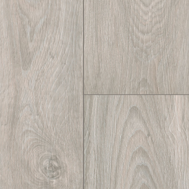 f85fe284-a6a4-4adb-85e8-9c6f45a91943.png Elite Serie 06 - Image 1