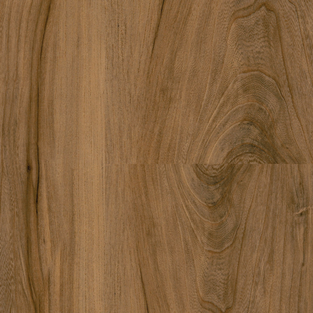 ff96dffb-3217-4267-8fdf-bccd26c74714.png Sun Seire 12 - Image 1